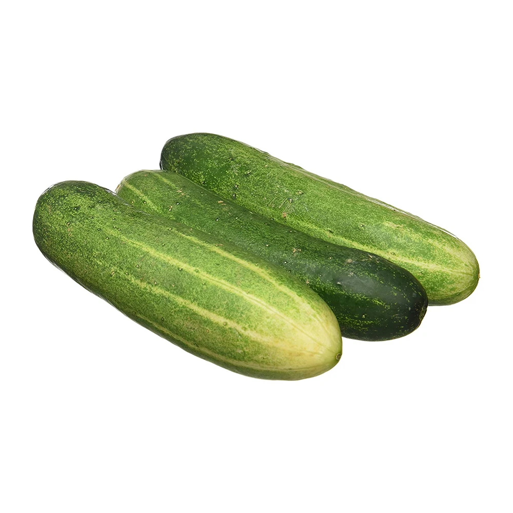 
Fresh Cucumber For Sale 