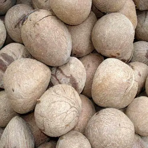 Whole Dried Ball Copra