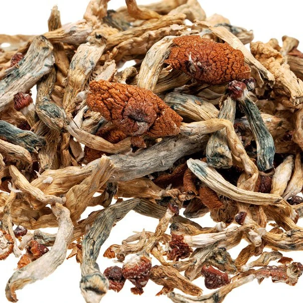 Magic Mushrooms Price Dried Black Morel Mushroom