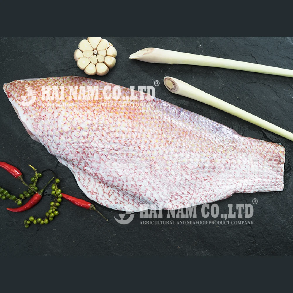 
Hot selling Nature Frozen Red Snapper Fish BODY from Vietnam manufacturer 