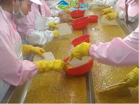 Best quality Frozen passion fruit with 12 months shelflife - Passion fruit puree cube - Passion fruit seed