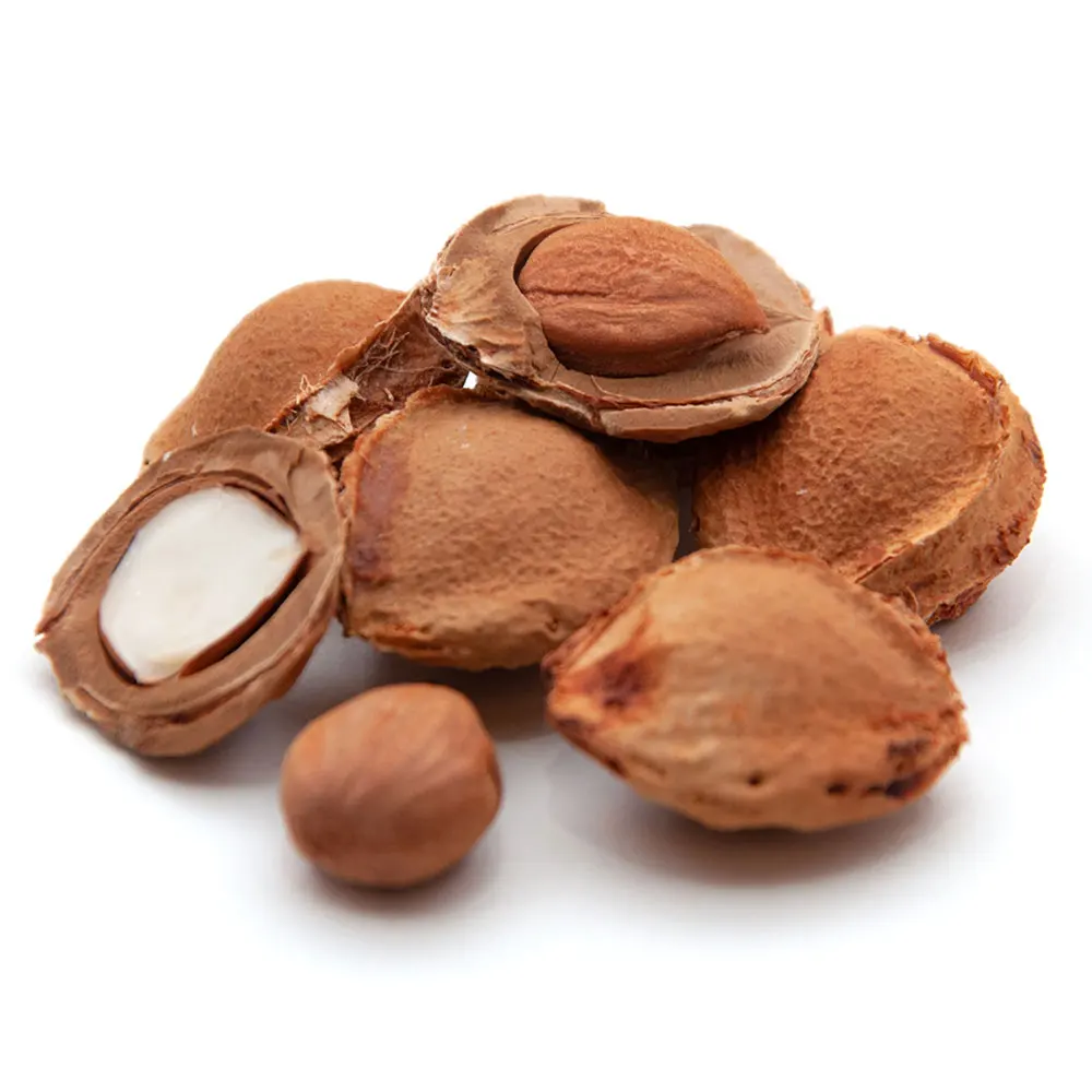 Good quality Apricot Kernels