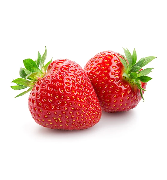 Fresh Strawberry wholesale Fresh Berries