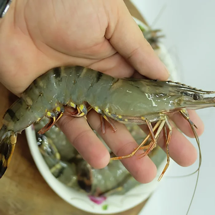 Black Tiger Shrimp Variety Vietnam High Quality Frozen Natural  Black Tiger Shrimp Export From Vietnam