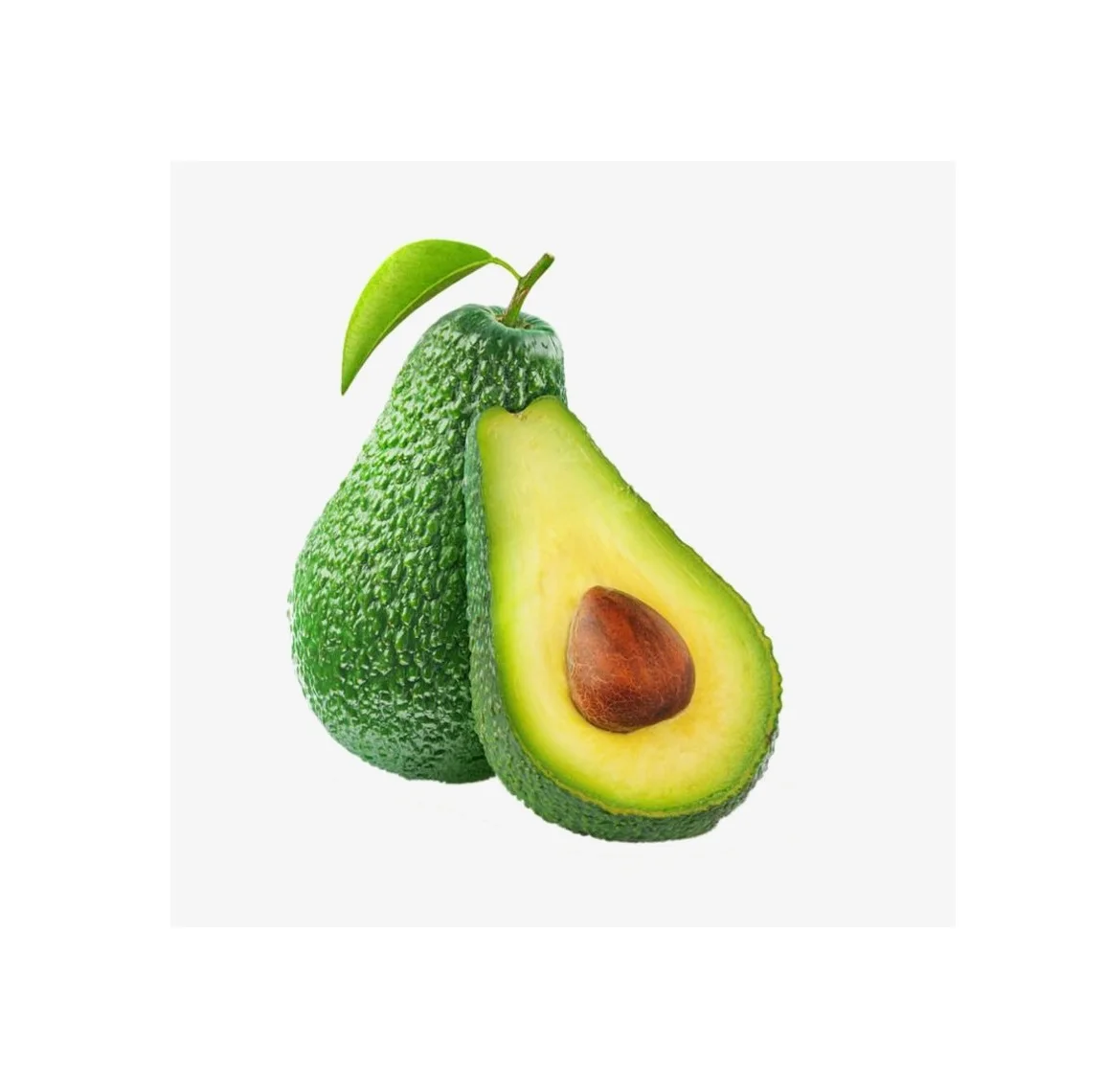 High Quality Wholesale Avocado Grain Seller From India