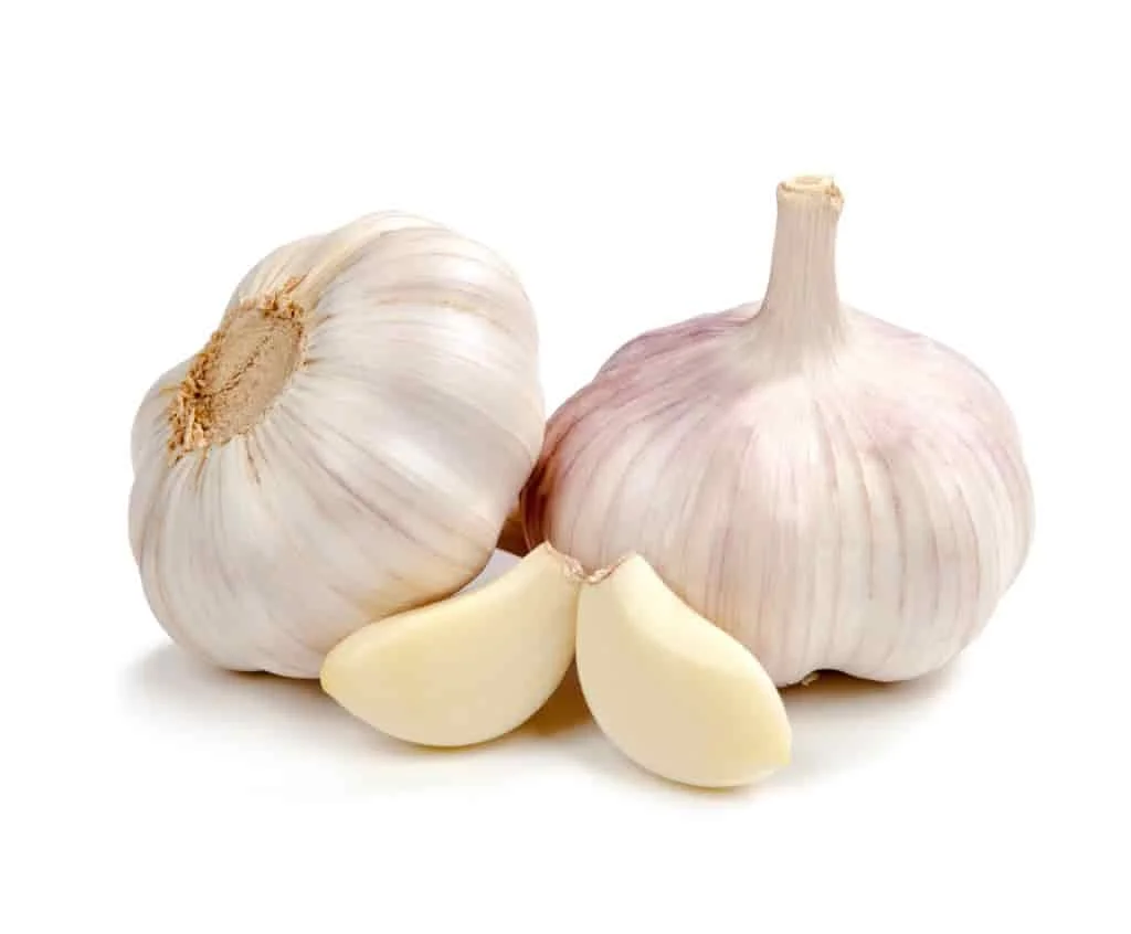 Cheap Garlic from Thailand