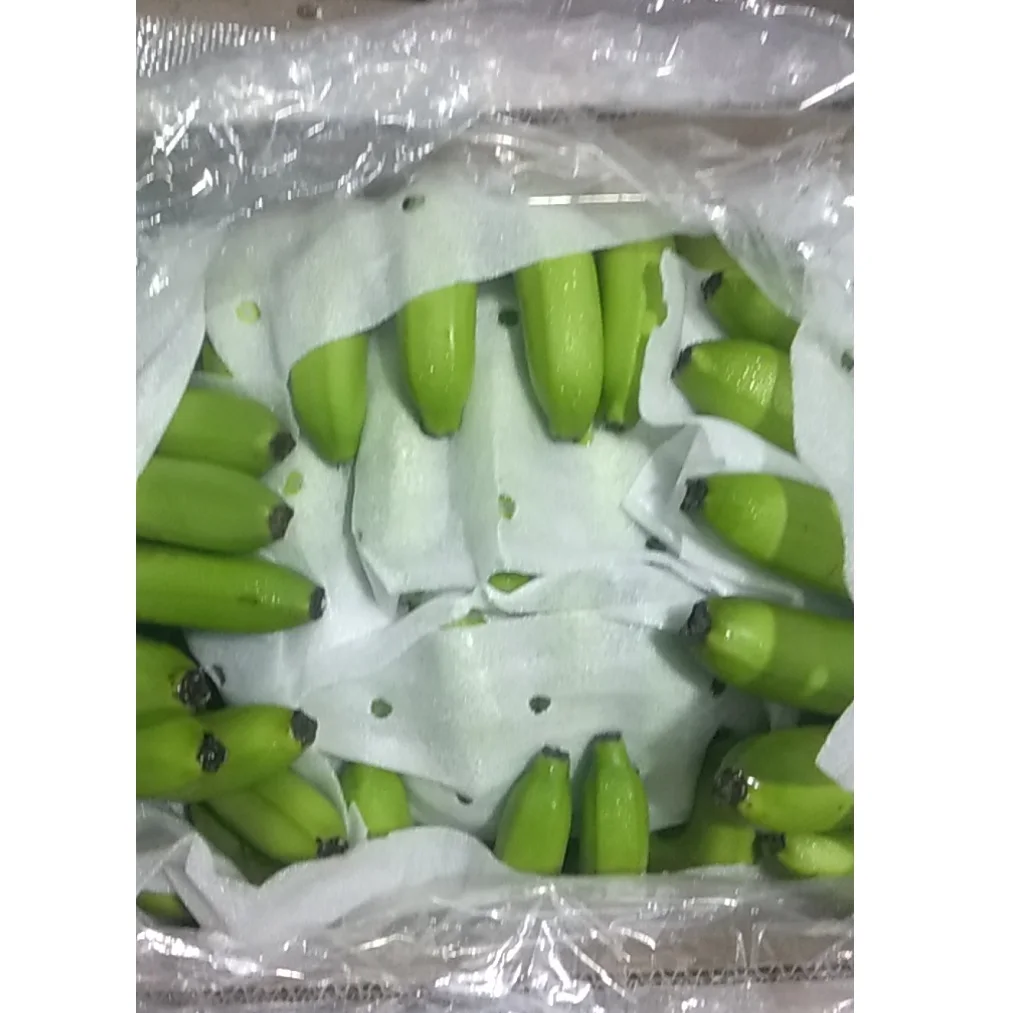Top Selling Fruit Fresh Green Banana Long Sweet Yellow Increase Muscles Full Nutrition Organic Cavendish Banana From Vietnam