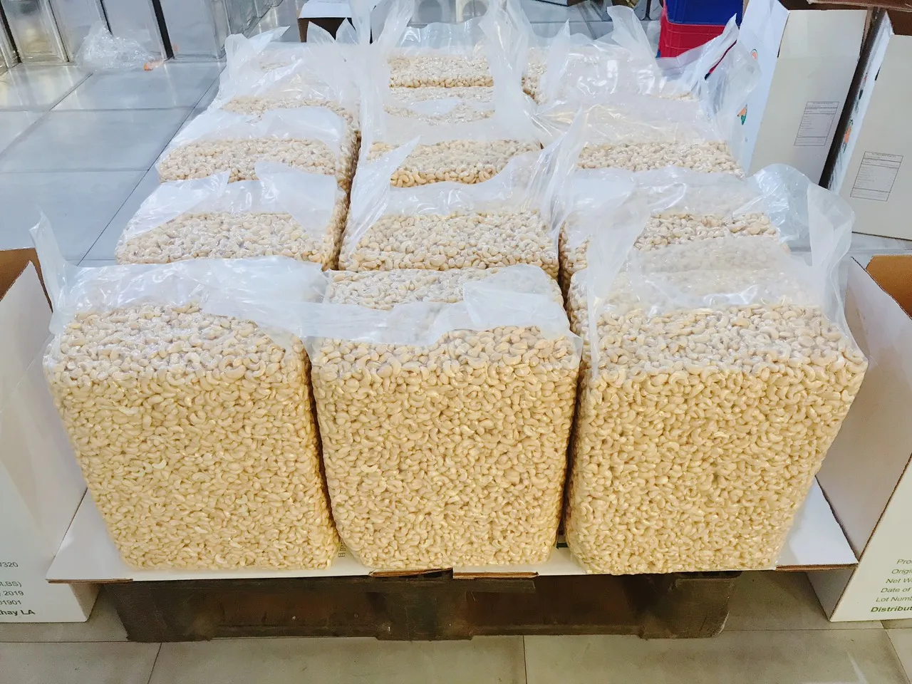 PREMIUM Cashew Nuts Kernel W180-W240-W320  - from Vietnam - HUYNH GIA AGRI JSC