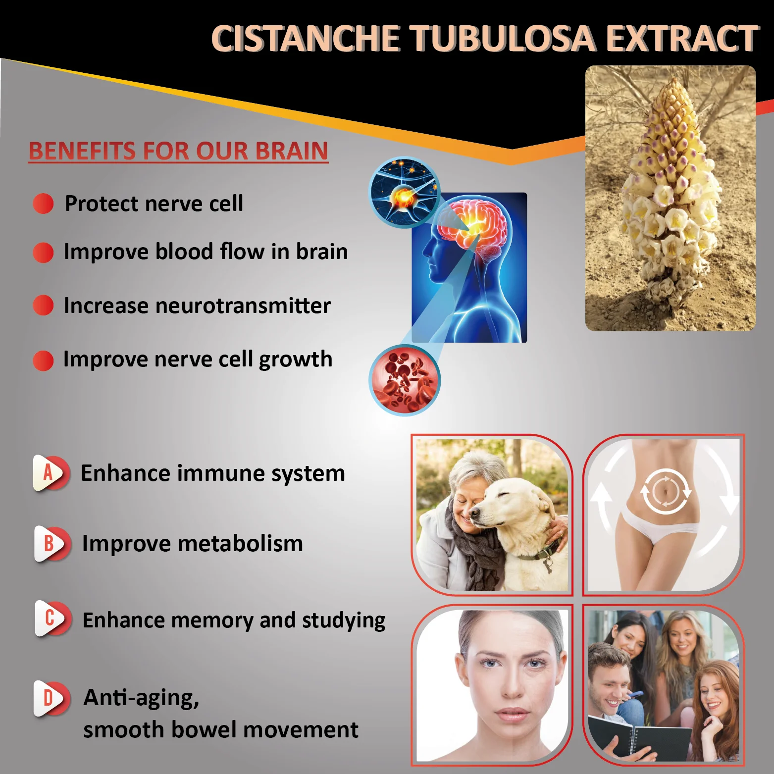 Sample Maca enhance men women energy enzyme drink