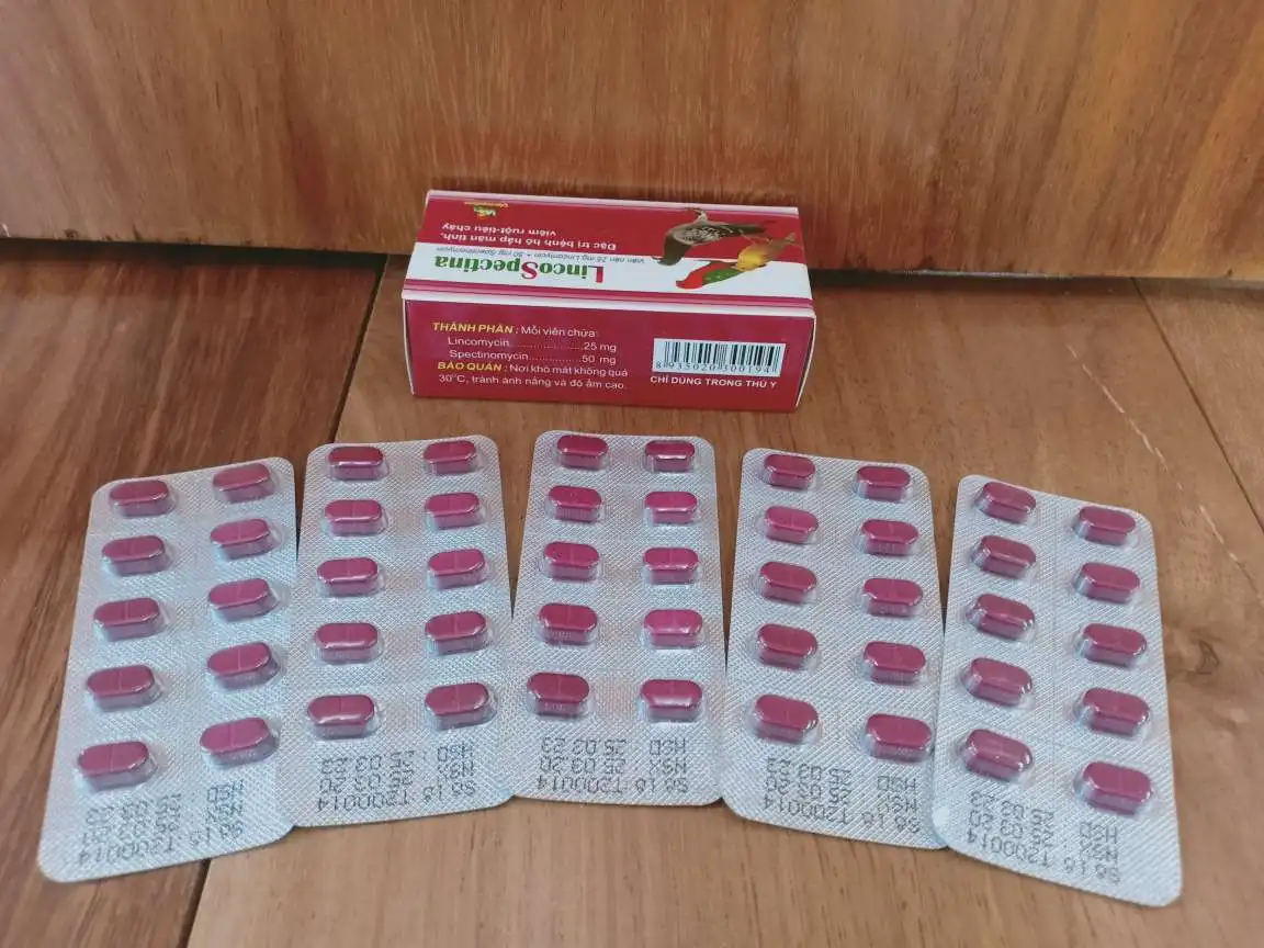 
For the control and treatment of infections from organisms such as Mycoplasma spp in Pigeon, Pets, Lincospectina 