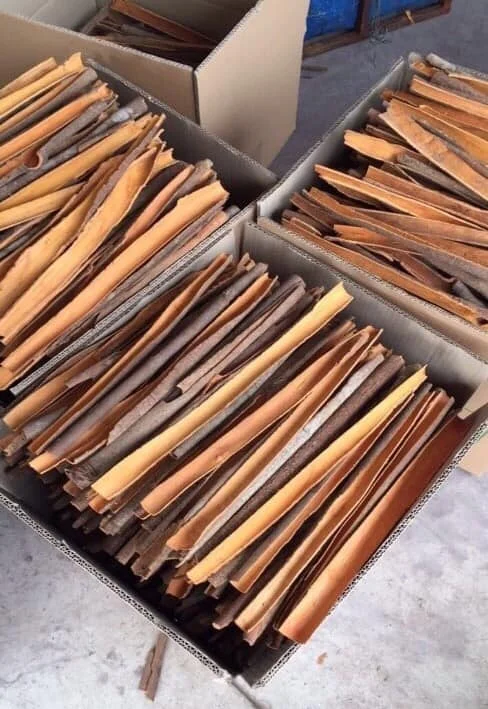 High Grade Single Species Cinnamon Split Whole Sale Price Delicious Taste from Vietnam