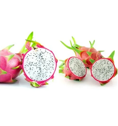 Вьетнам свежий дракон фрукты отличная цена для трейдеров WHATSAPP WECHAT VIBER