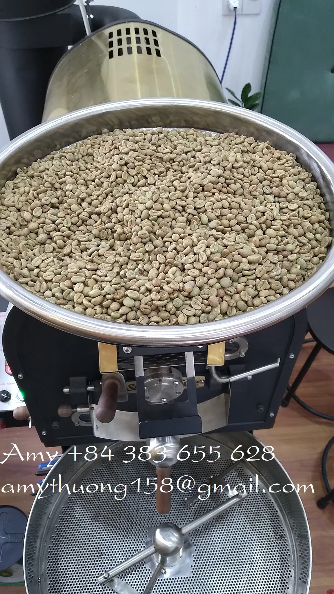 Arabia coffee/ green coffee beans/ whole bean coffee from Vietnam