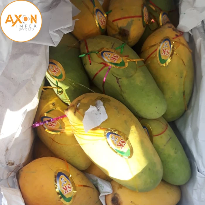 
Fresh Alphonso Mangoes Exporters in India 