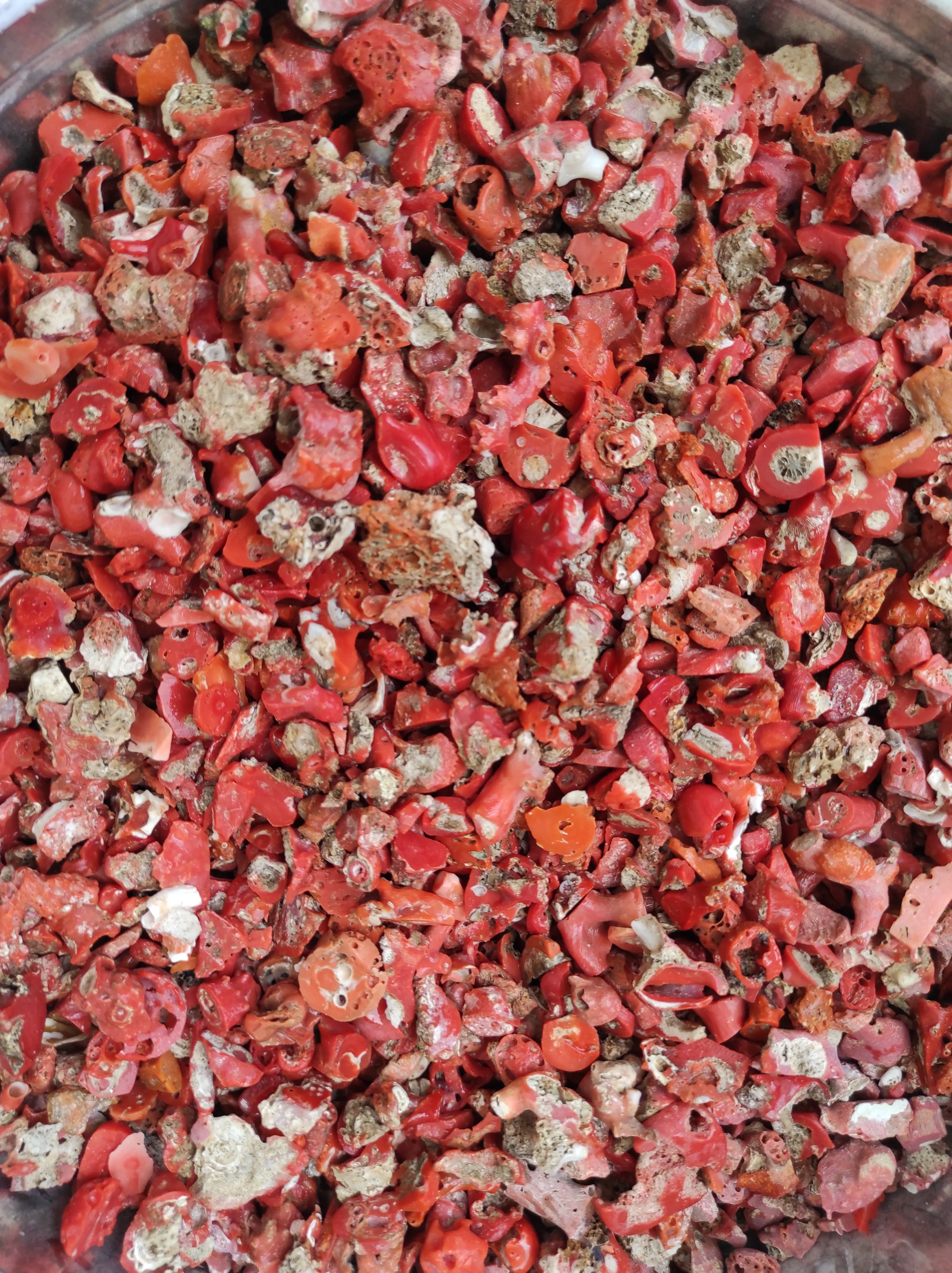 
Unpolished Italian Red coral waste leftovers Mediterranean Sea by Sardinia coast corallium rubrum made in Italy 