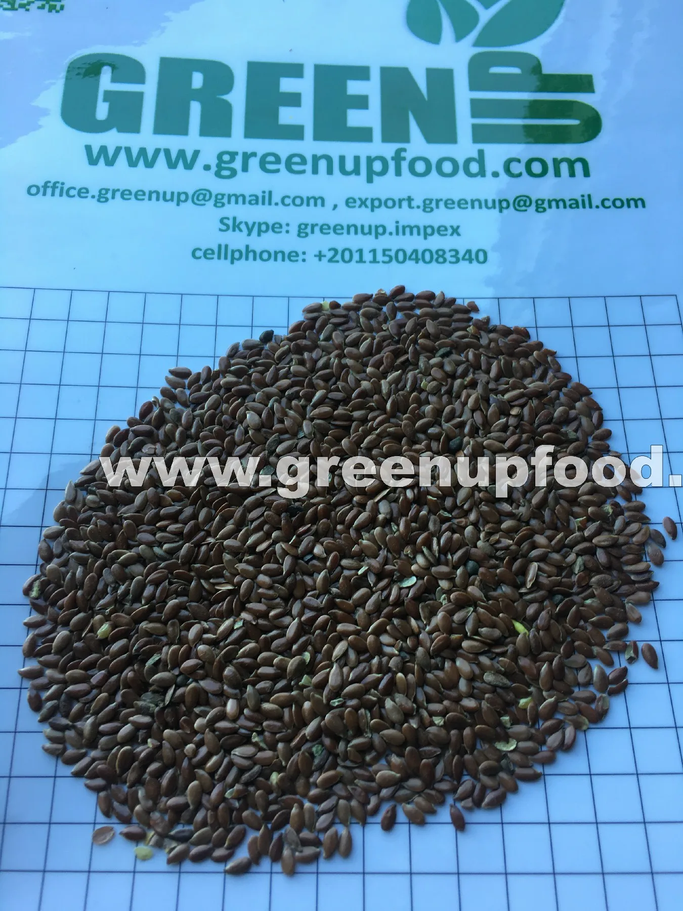 flax seeds Linum usitatissimum good quality high oil content natural color