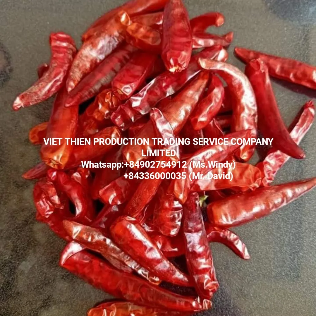 High quality and good price wholesale dried chili with export standards from Vietnam