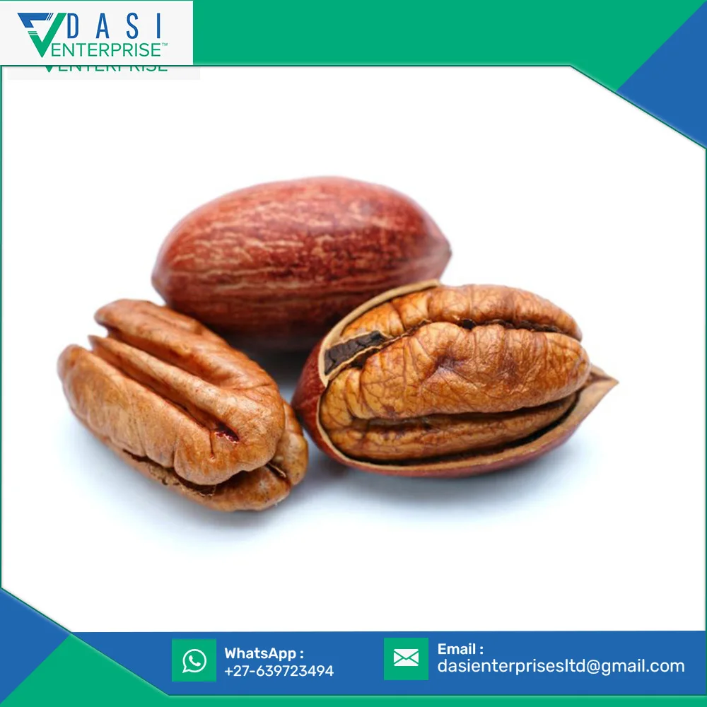 Agricultural Farm With Shell Fresh Hard Pecan Nuts From South Africa In Standard Quality At Bulk Price
