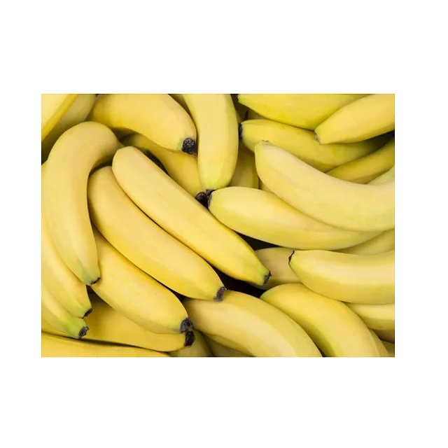 Новейший Урожай Cavendish Banana-высококачественный банан из Вьетнама-оптовая продажа для Banana GLOBAL
