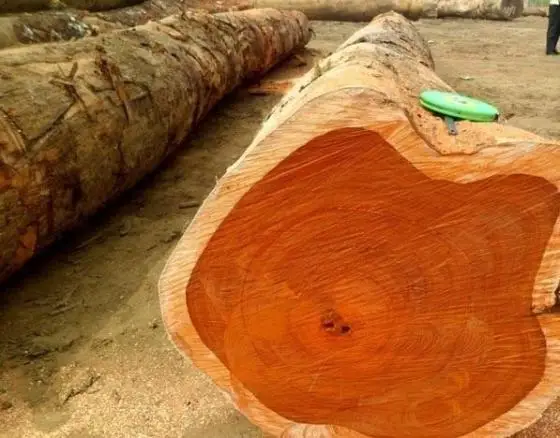 Bulk Sawn Timber. Lumber Iroko Wood For Sale