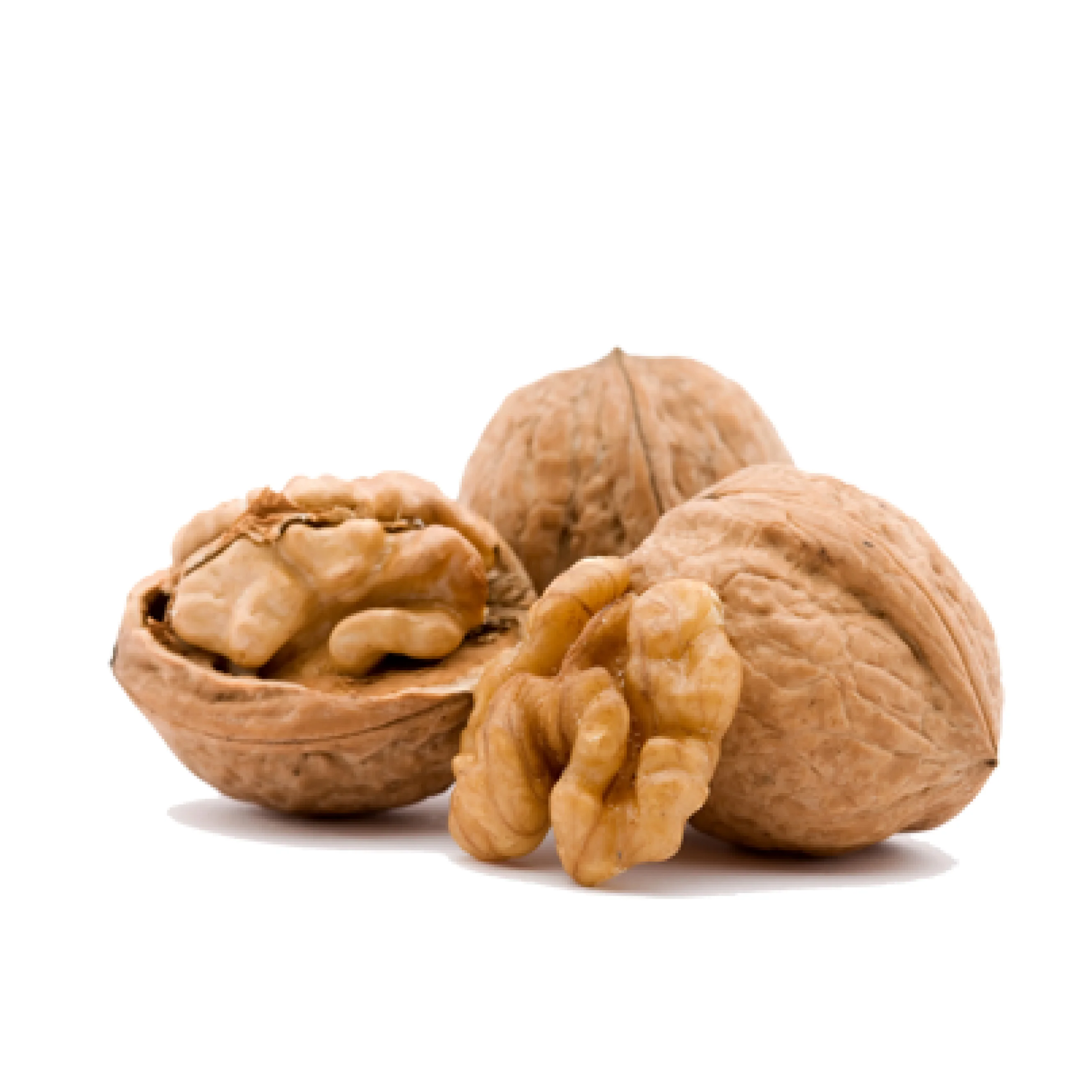 Premium Product Organic Walnut Oil 250ml | RBD | Vegan | Ready For Shipping | Top Quality | Healthy Oil