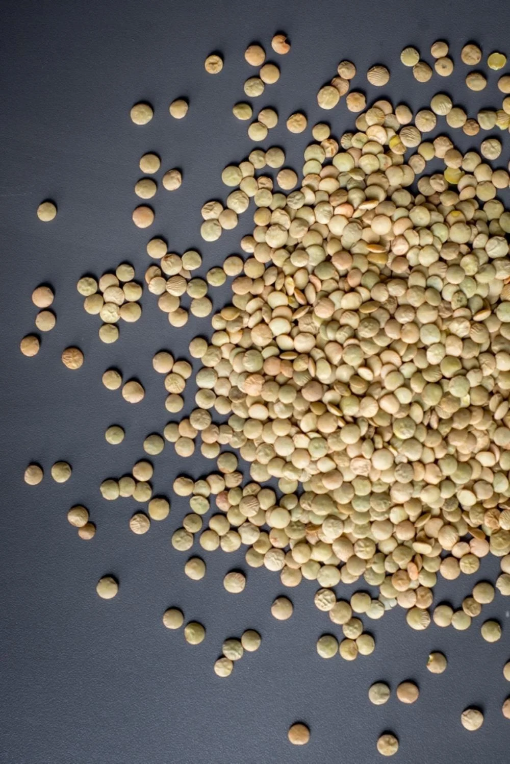 High quality Supply Organic Dried  Green Lentils