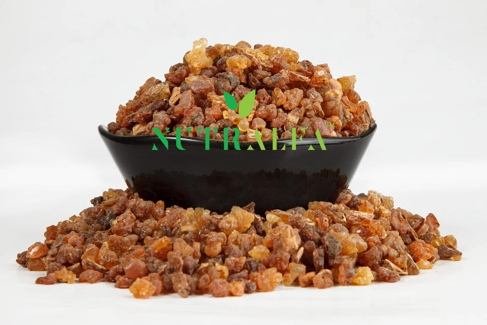 Gum Myrrh Premium Pea Size