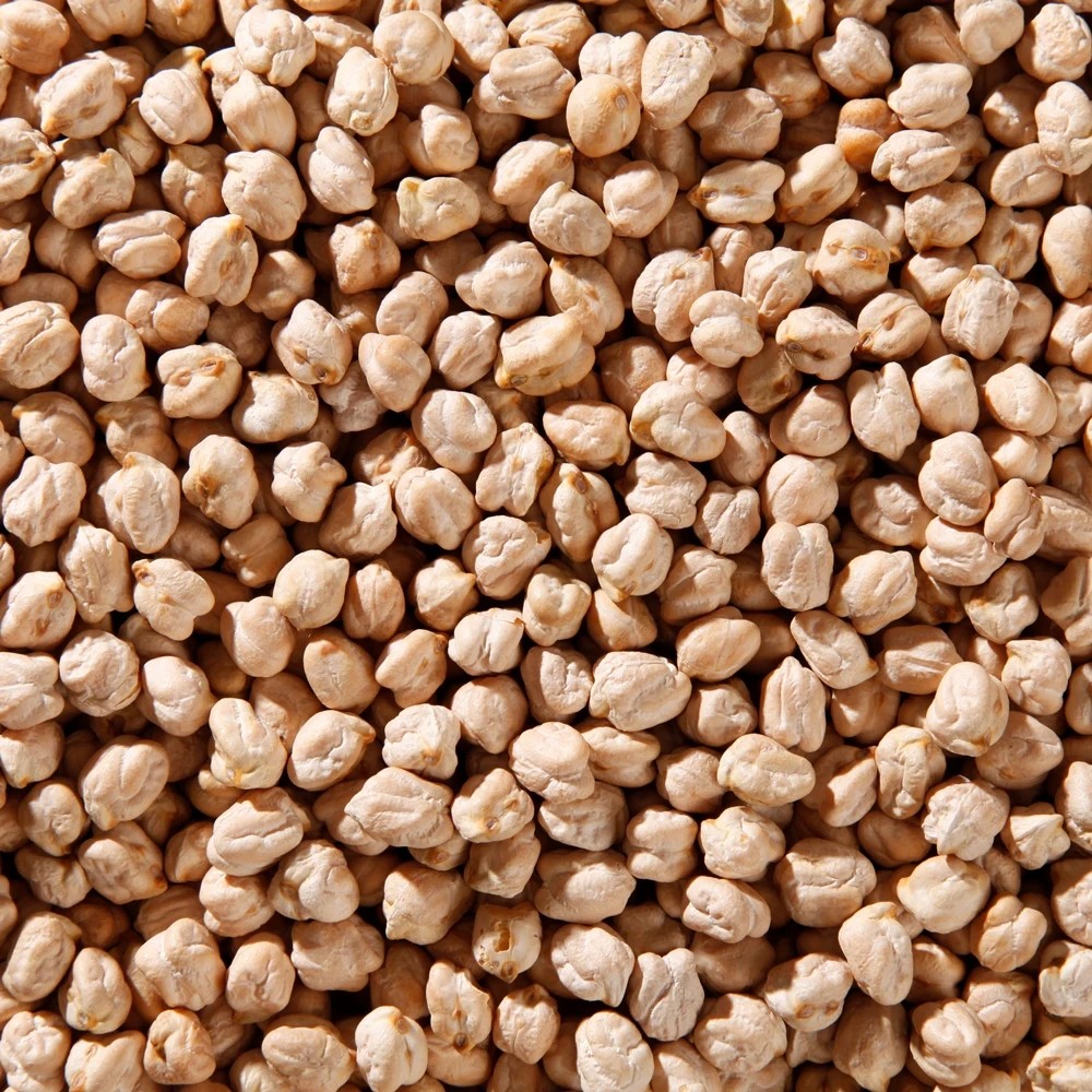 High Quality Wholesale Product - Hunkar White Chickpeas