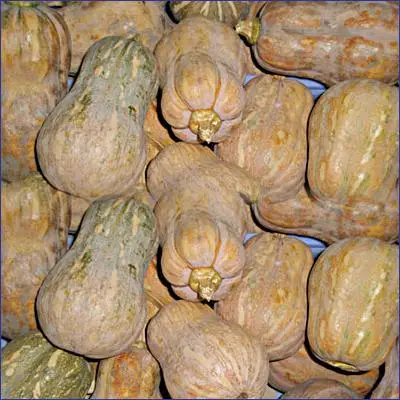 Свежие органические тыквенные чипсы лучшего качества во