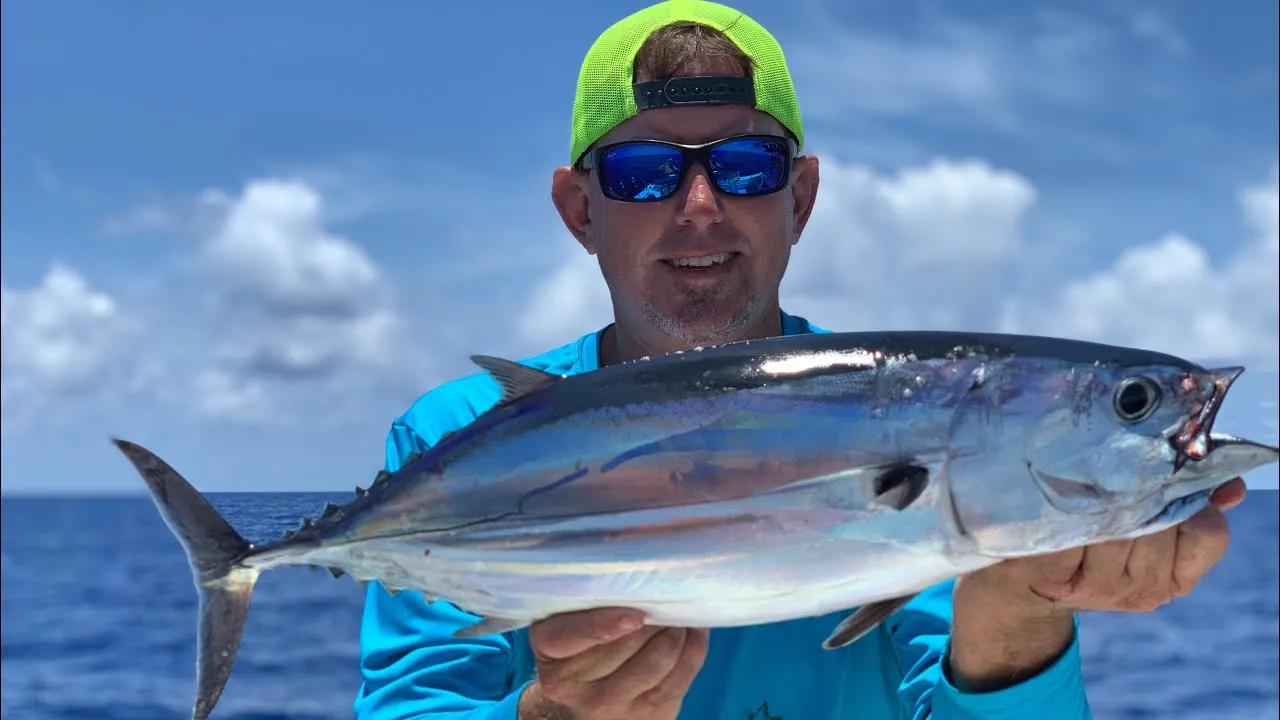 Wholesale Top Quality Skipjack Tuna Fish In Cheap Price