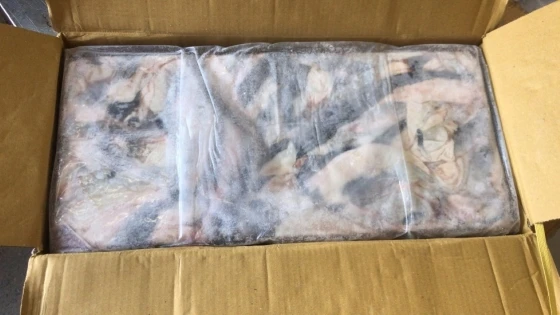  Frozen Pangasius/Basa Skin -