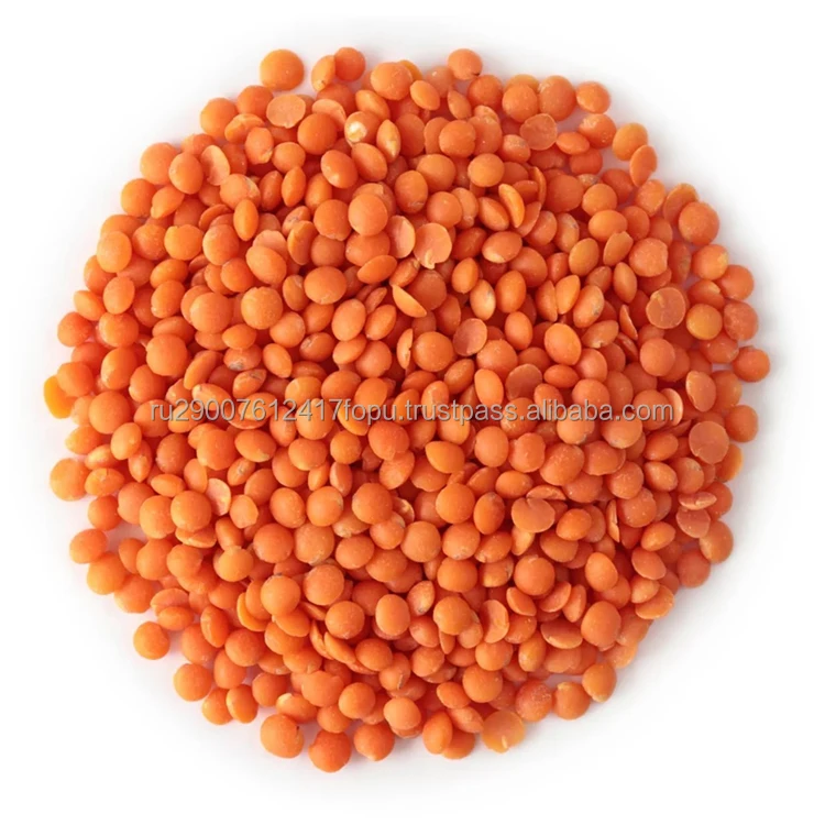 Organic Red Lentils very nutritious edible legume aromatic side dish, great for soups wholesale, lentils