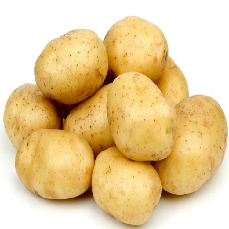 Fresh Potato Vegetable Export wholesale High Quality
