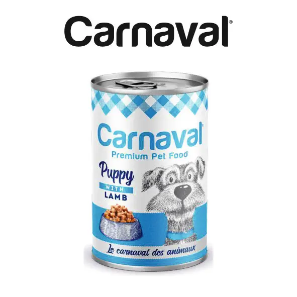 Canned Premium Pet Food with Chicken Flavor Gravy for Pet Kitten 8.7% Protein - 400 Gr (12 PCS)