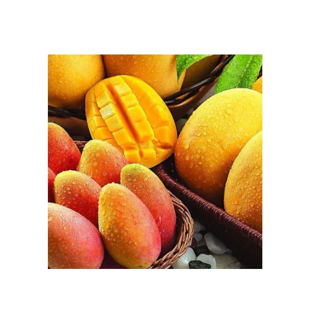 
Sweet And Delicious Premium Quality Pakistani Mango Export In Bulk 