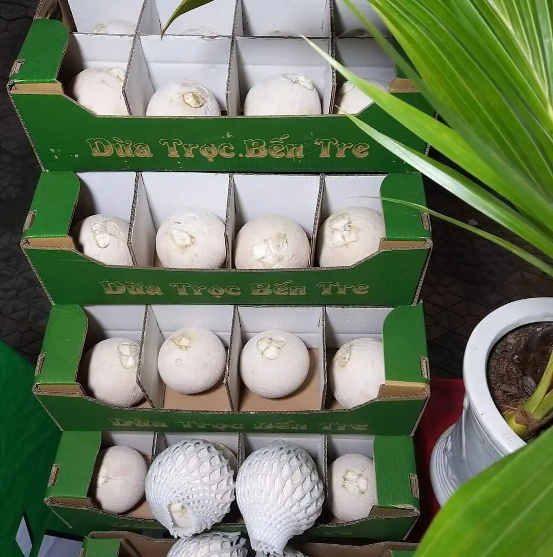  Свежий молодой кокос из Вьетнама высокое качество конкурентоспособная цена на экспорт