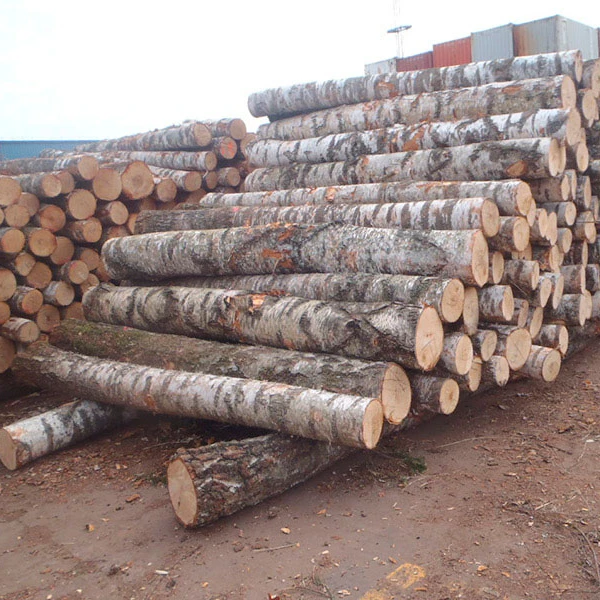 Teak Wood - Round Logs- Swan Timber Logs for sale .