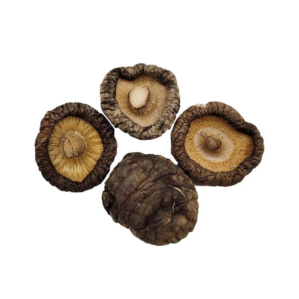 Dried Shiitake Mushroom Wholesale cheap dried shiitake mushroom-Ivy HH+84977157110