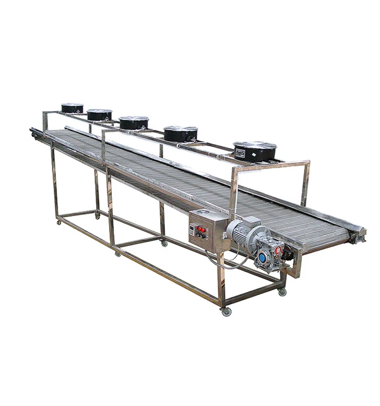 Pet Food Line Production of Cat Food  Dry Dog Food Making Machine in South Africa