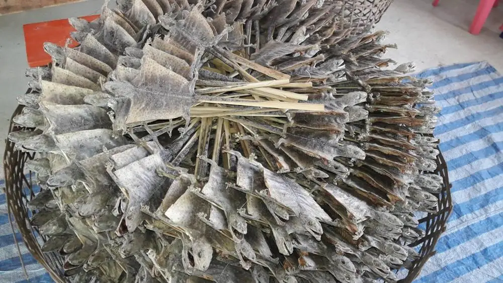 Сушеный ГАК AYAME из Таиланда