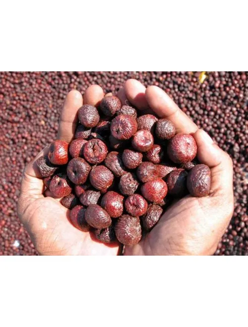 Экспортное качество полугайка для оптовой продажи