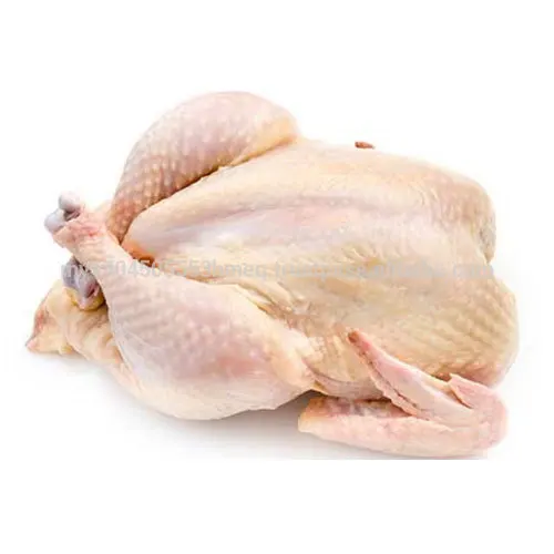 FREE SHIPPING. Halal Frozen Whole Chicken -Grade A