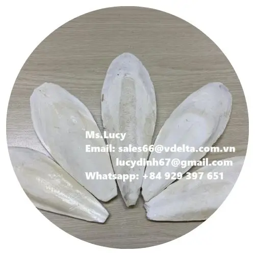 Wholesale Dried Cuttlefish Bone/ Natural Dried Sepia Powder/ Crushed Cuttlefish Bone Ms.Lucy  84 929 397 651