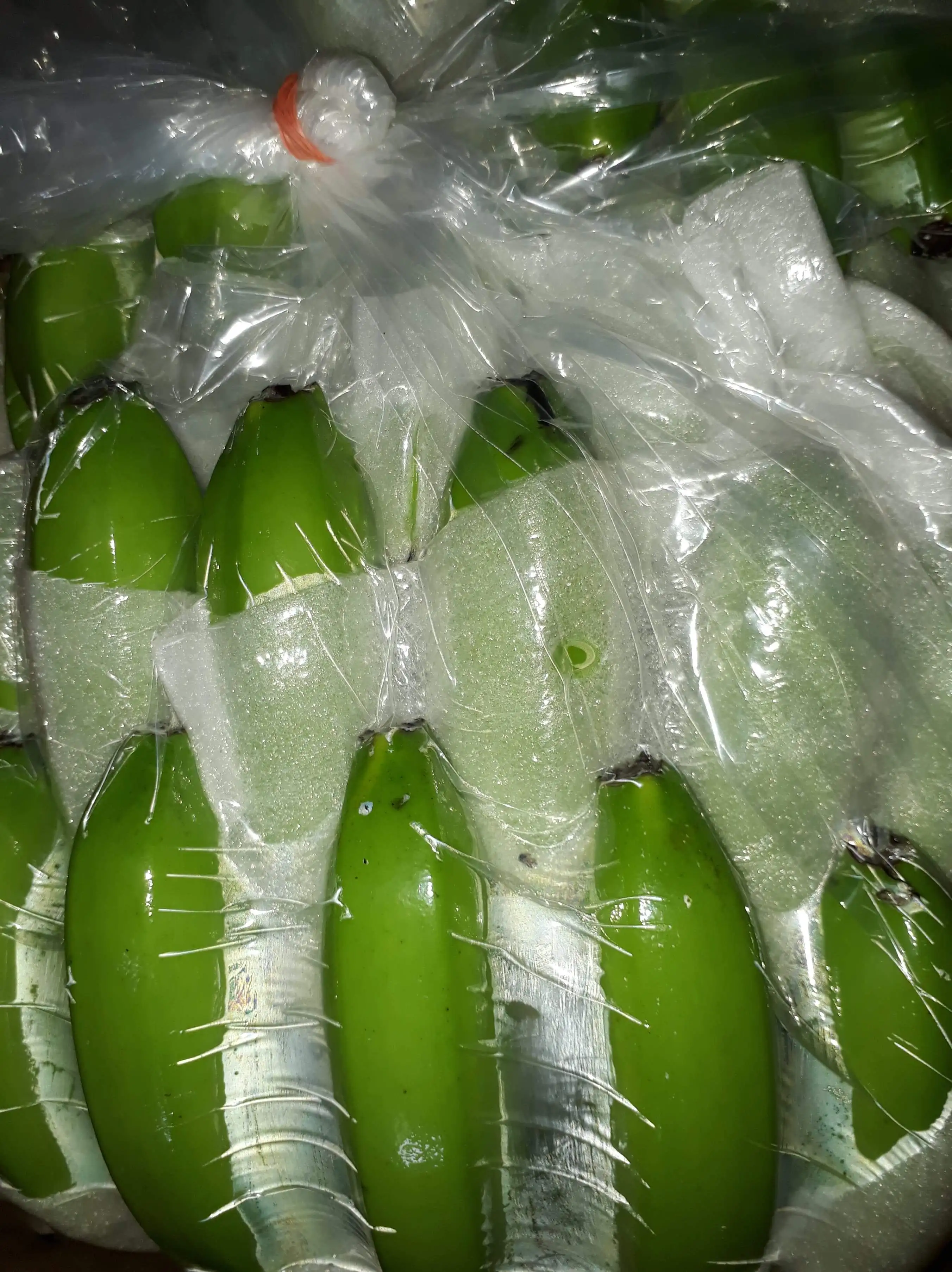 
Highly Recommend The Green Fresh Cavendish HASU Banana With VIETGAP Certification From Vietnam 