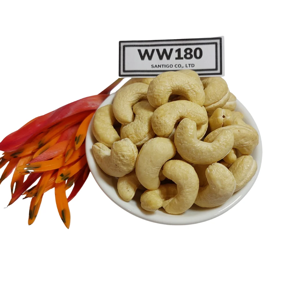 Best Price for Raw Product W180 WW240 W320 Broken Pieces Cashew Nuts WS LP SP BB From Vietnam With High Quality