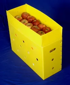 best quality corrugated plastic box for fruits and vegetables automobile reusable packaging containers heavy duty boxes