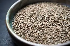 
Rye bran RYE FLAKES ,Rye bran high grade,Winter Rye 