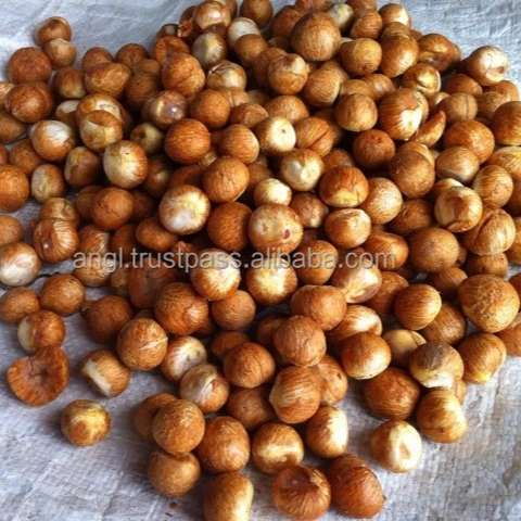  Сушеные цельные орехи Areca/орехи Betel из Вьетнама высокого качества _ vikafoods (+ 84983028718).