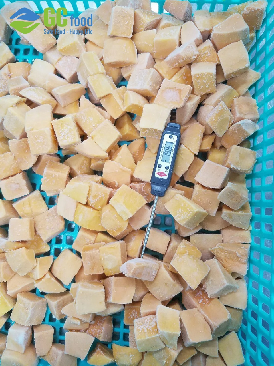 Best quality Mango Frozen  -  Dice Cube with best frozen mango price - 12 months shelflife