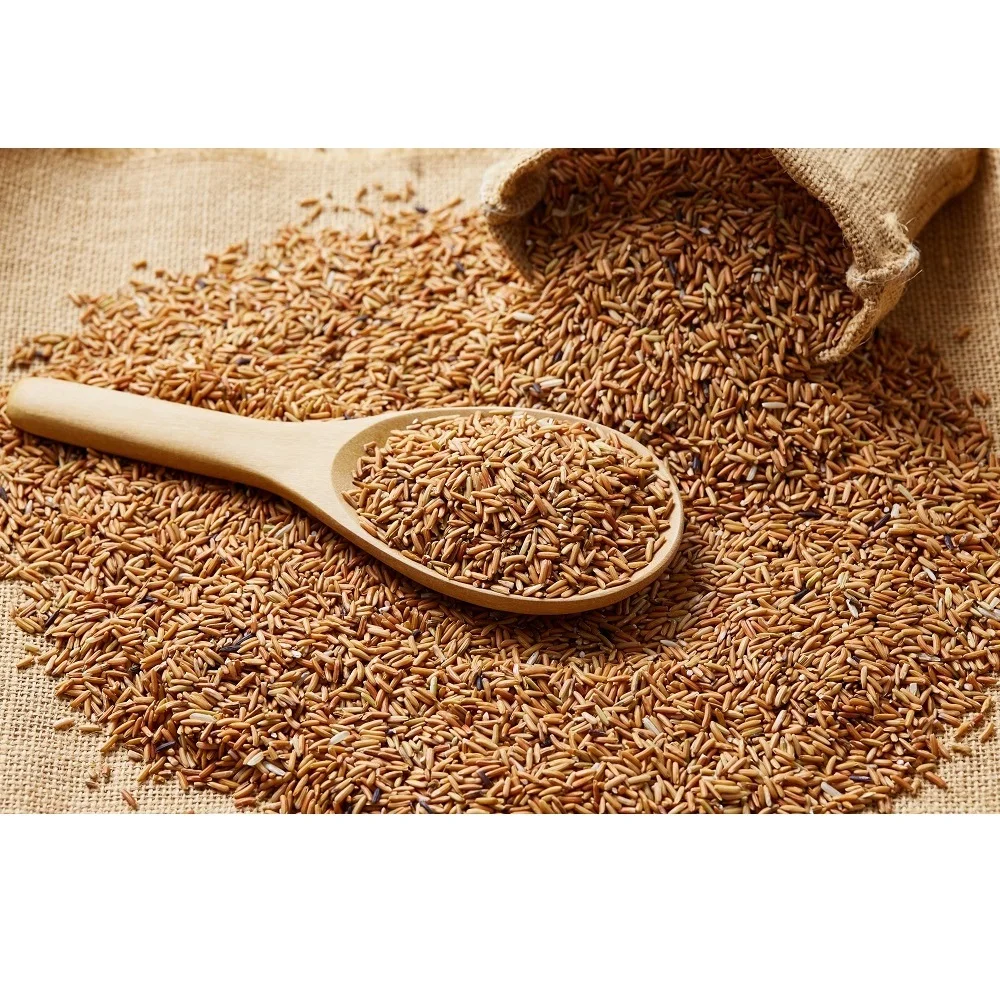 2020 Crop Long-Grain Thai Sangyod Rice Brown Rice  With 12% Max. Moisture in PP Woven Bags Packaging